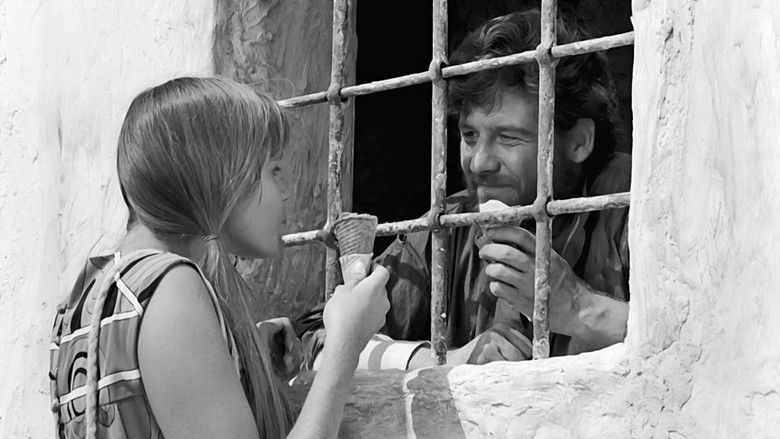 кадр из фильма Девушки под солнцем