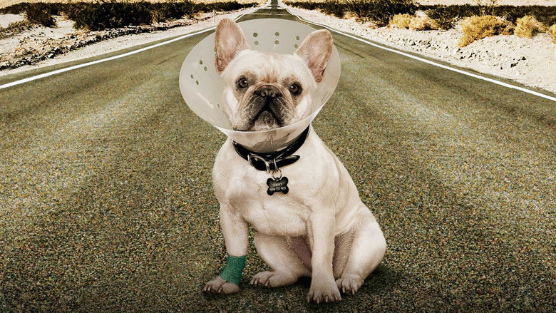 кадр из фильма Впритык