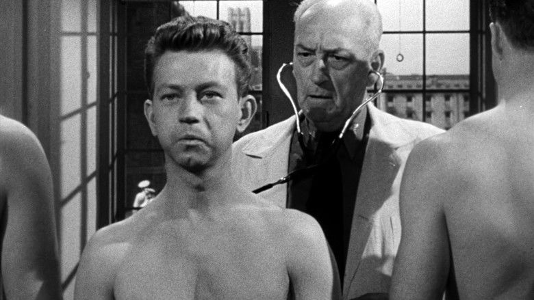 кадр из фильма Francis Goes to West Point