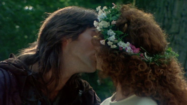 кадр из фильма Robin of Sherwood: Robin Hood and the Sorcerer