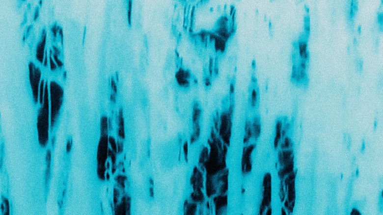 кадр из фильма Through the noise and light