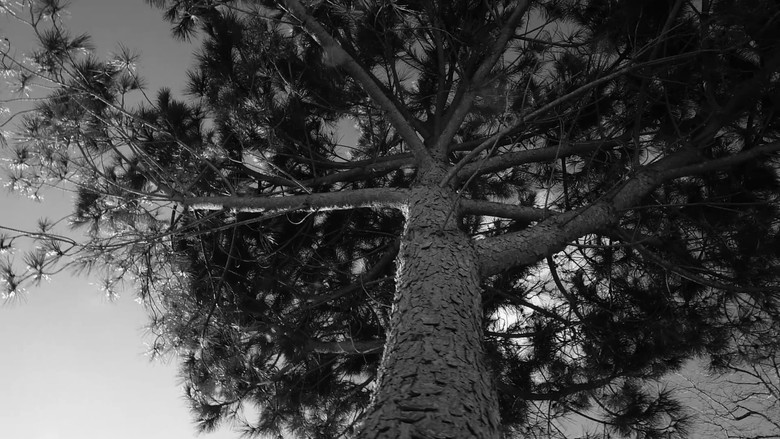 кадр из фильма A film about nothing