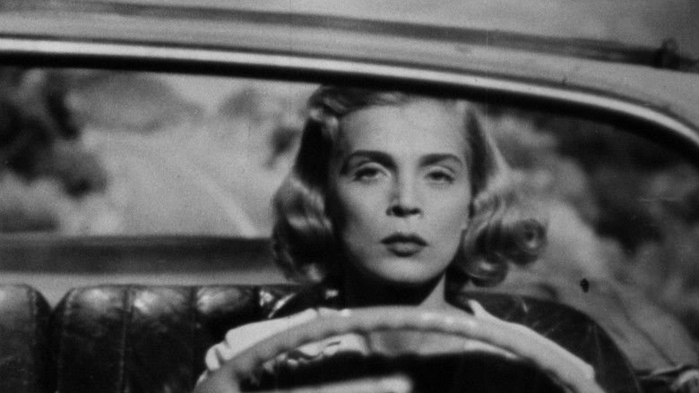 кадр из фильма Too Late for Tears