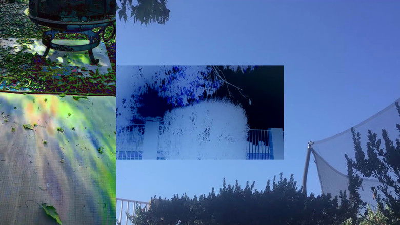 кадр из фильма Remind Me Why I Came Here