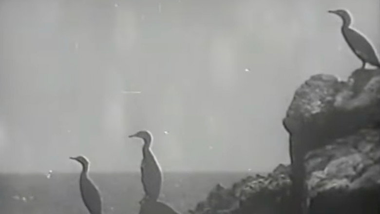 кадр из фильма 日本産業地理大系第一篇　国立公園伊勢志摩