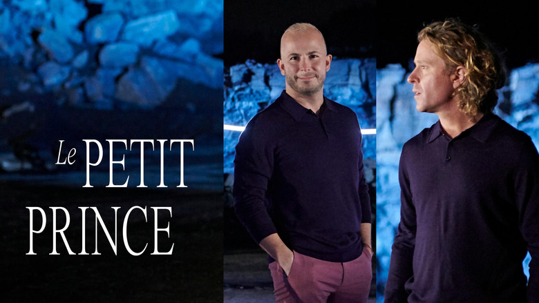 кадр из фильма Le Petit Prince – théâtre musical