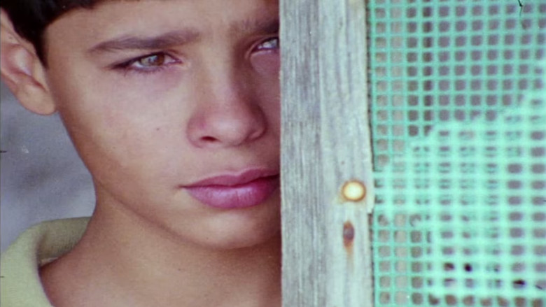 кадр из фильма Uma Pedra no Bolso