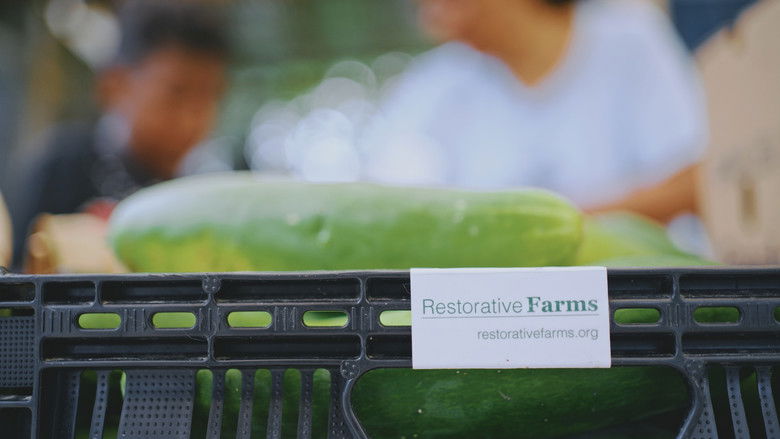 кадр из фильма Grow a Better Dallas