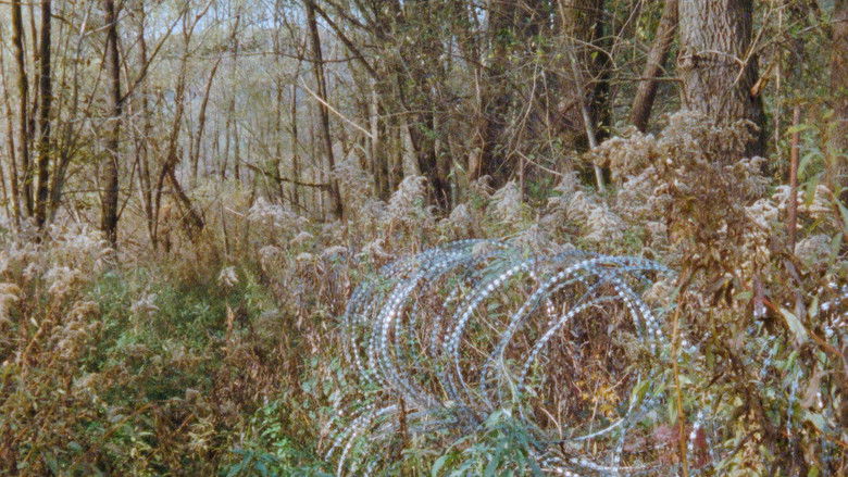 кадр из фильма Obzornik 670 – Rdeči gozdovi