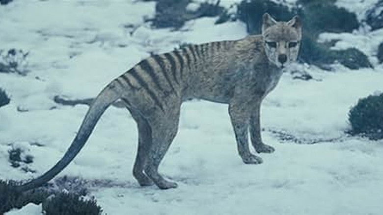 кадр из фильма Охотник