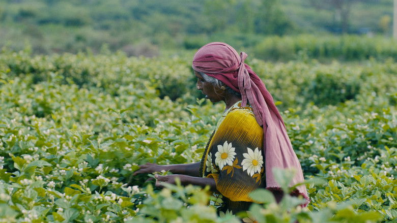 кадр из фильма Inside The Dream: Dior