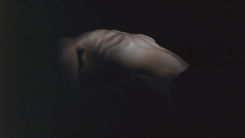 кадр из фильма The Malady of Death