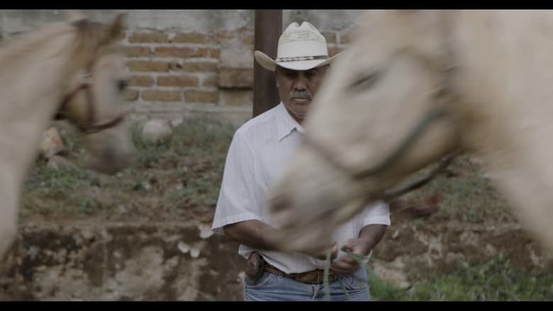 кадр из фильма Caballerango