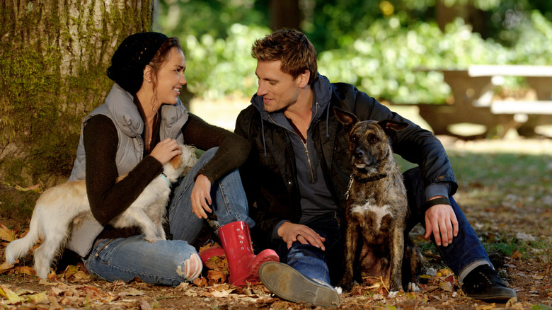 кадр из фильма Невеста на Рождество