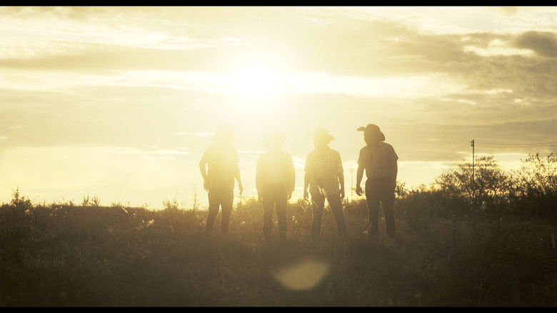 кадр из фильма Coyote