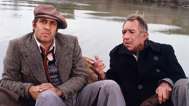 кадр из фильма Блеф