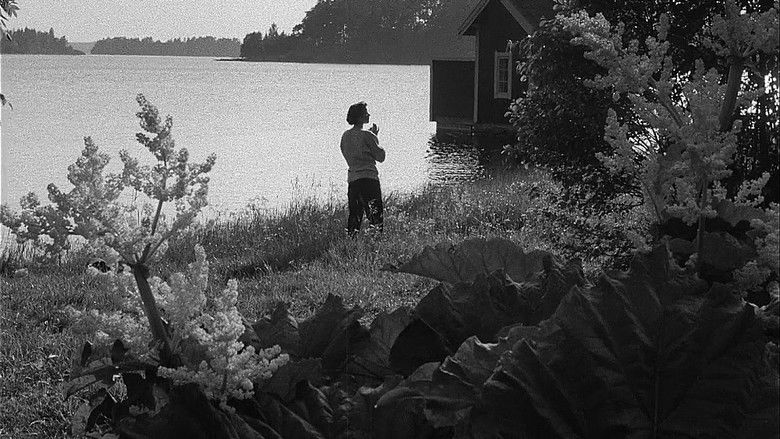 кадр из фильма Женщины ждут