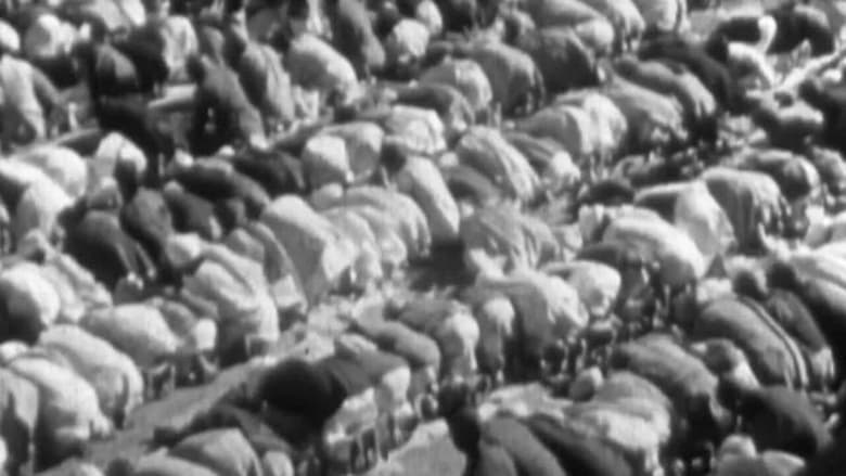 кадр из фильма Lahore - Badshahi Mosque