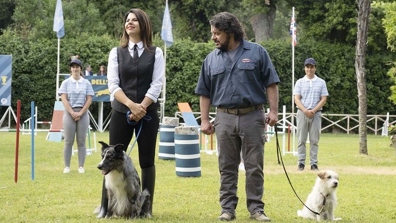 кадр из фильма Академия четвероногих