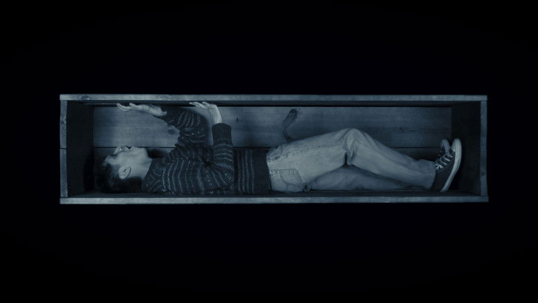 кадр из фильма Seremos Andantes