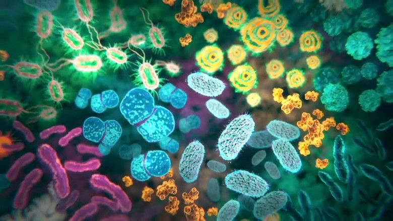 кадр из фильма The Invisible Extinction