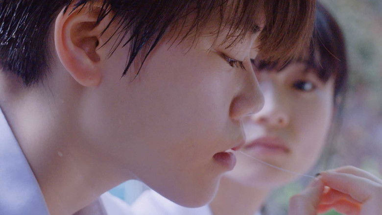 кадр из фильма 夏の脱ぎ方