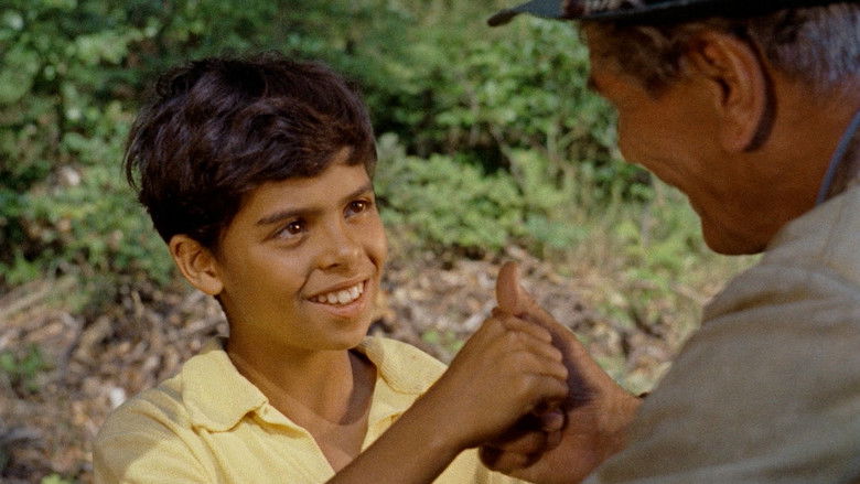 кадр из фильма Пау