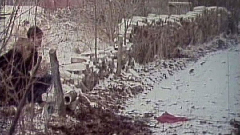 Paradies. Eine imperialistische Tragikomödie