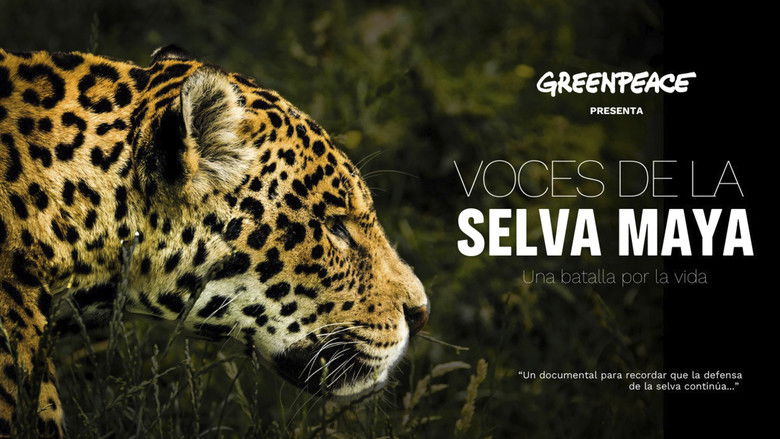 кадр из фильма Voces de la Selva Maya: Una Batalla por la Vida