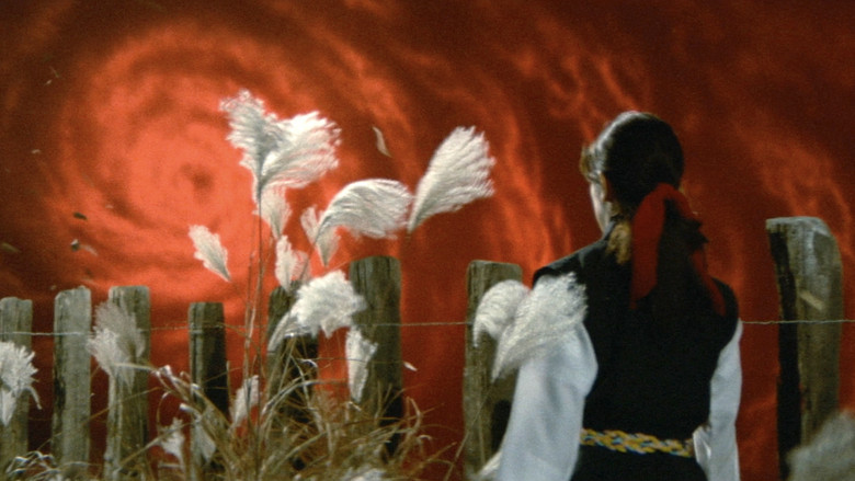 кадр из фильма Женщина co смертоносным кулаком