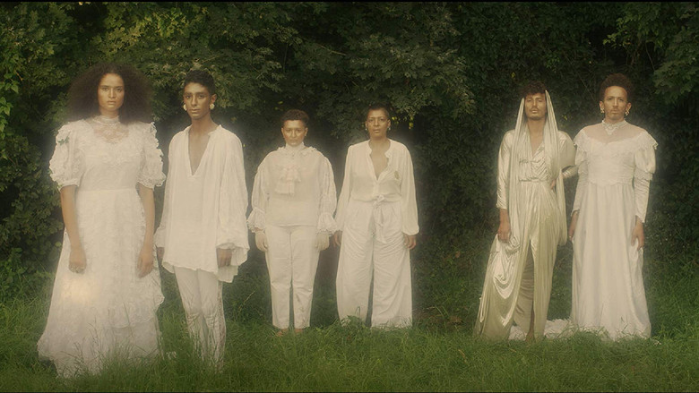 кадр из фильма Soleils bruns