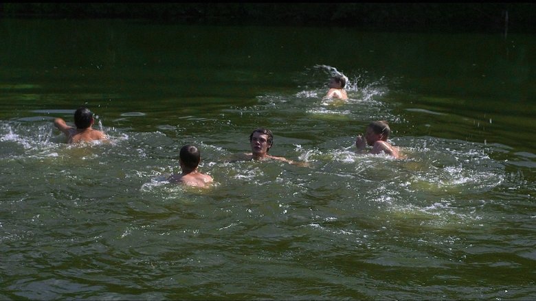 кадр из фильма Птичка