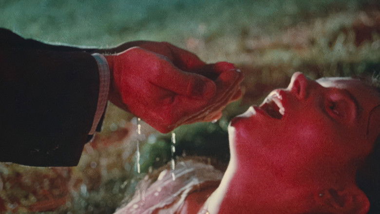 кадр из фильма Pásla kone na betóne