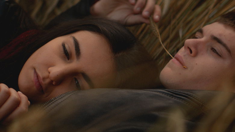 кадр из фильма Свадьба