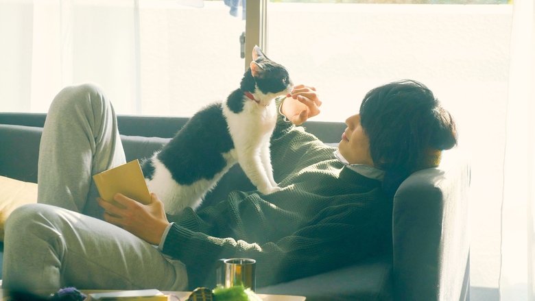 кадр из фильма 旅猫リポート