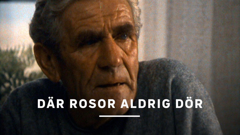 кадр из фильма Där rosor aldrig dör