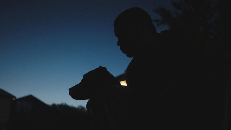 кадр из фильма Young King