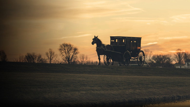 The Amish: Shunned