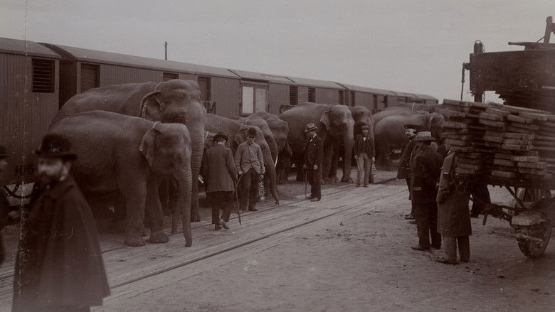 кадр из фильма La Tragique Histoire de Fritz l'éléphant