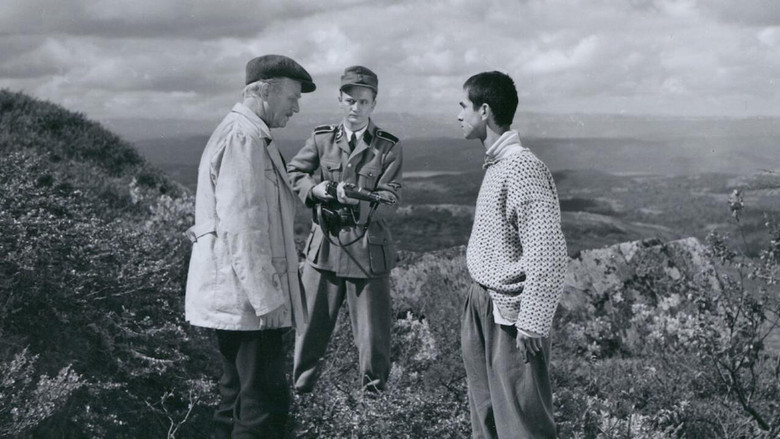 Кровавая дорога