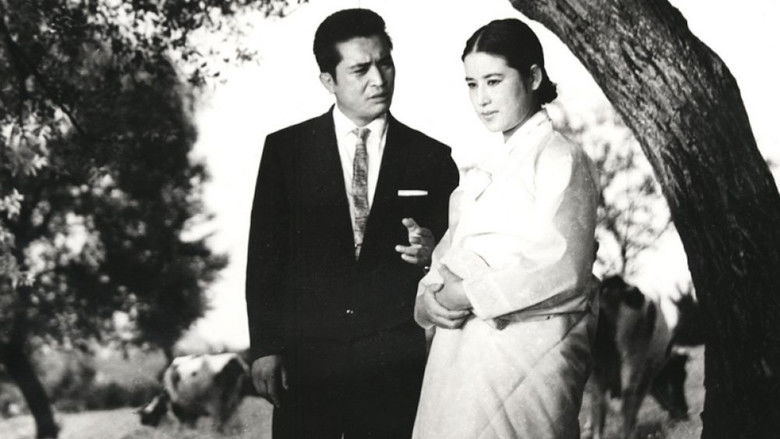 кадр из фильма 사랑방 손님과 어머니