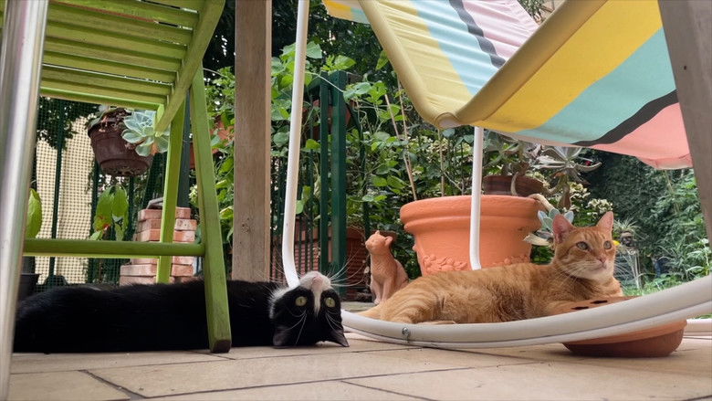 кадр из фильма Non succederà più