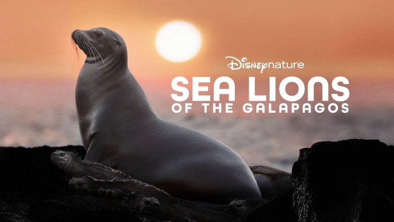 кадр из фильма Sea Lions of the Galapagos