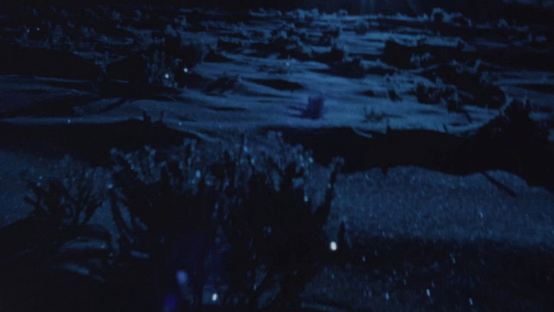 кадр из фильма Swimming Stone