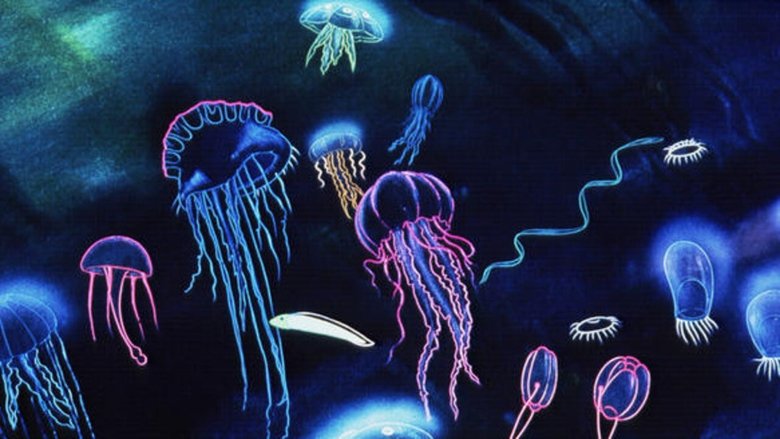 кадр из фильма Фантазия