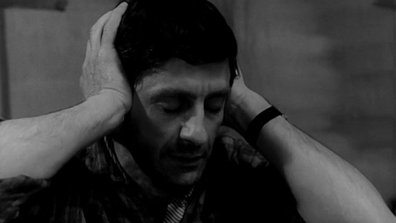 кадр из фильма Soy leyenda