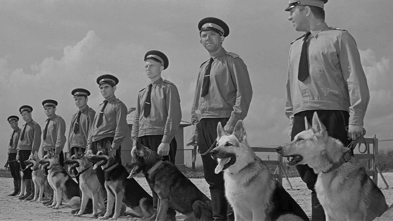 кадр из фильма Ко мне, Мухтар!