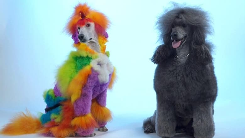 кадр из фильма Well Groomed