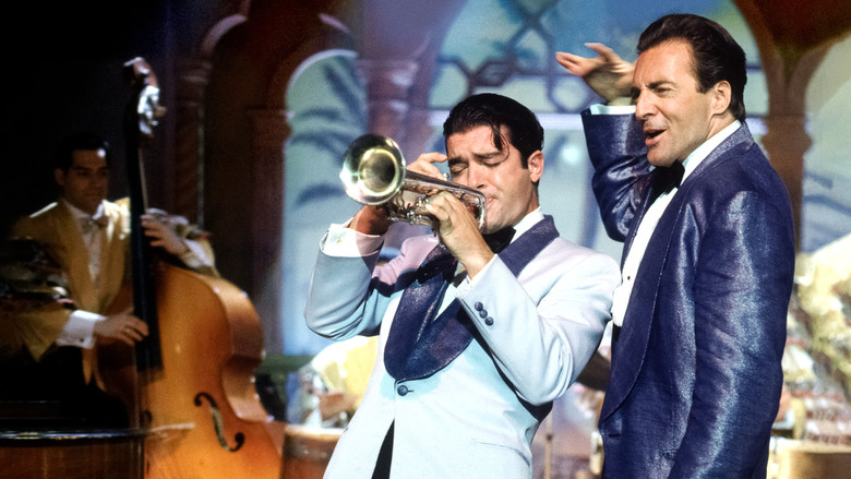 кадр из фильма Короли мамбо