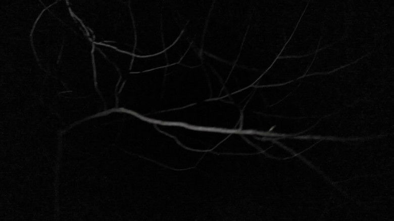 кадр из фильма Tale-tellers